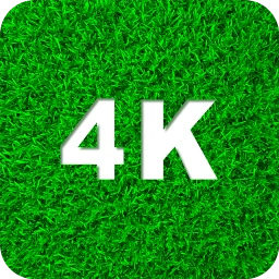 Symbol von Grüne Hintergrundbilder 4K